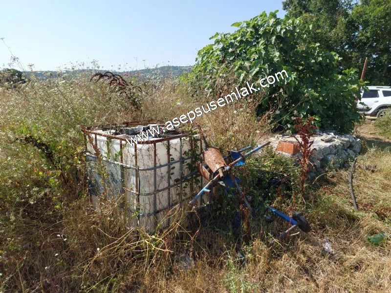 9 Dönüm Ceviz Bahçesi