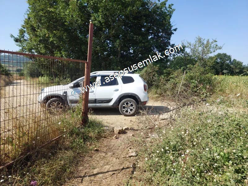 9 Dönüm Ceviz Bahçesi