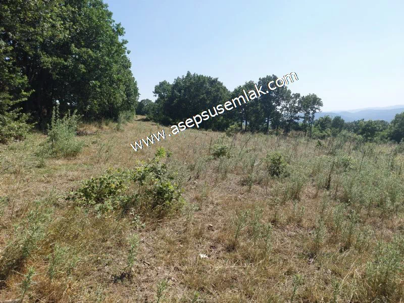 Yatırımlık 16 Dönüm Satılık Tarla