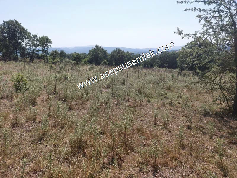 Yatırımlık 16 Dönüm Satılık Tarla