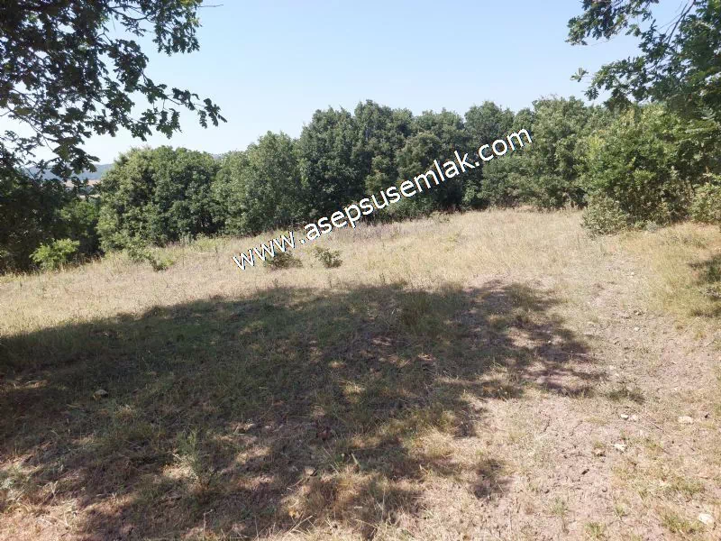Yatırımlık 16 Dönüm Satılık Tarla