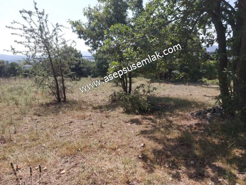 Yatırımlık 16 Dönüm Satılık Tarla
