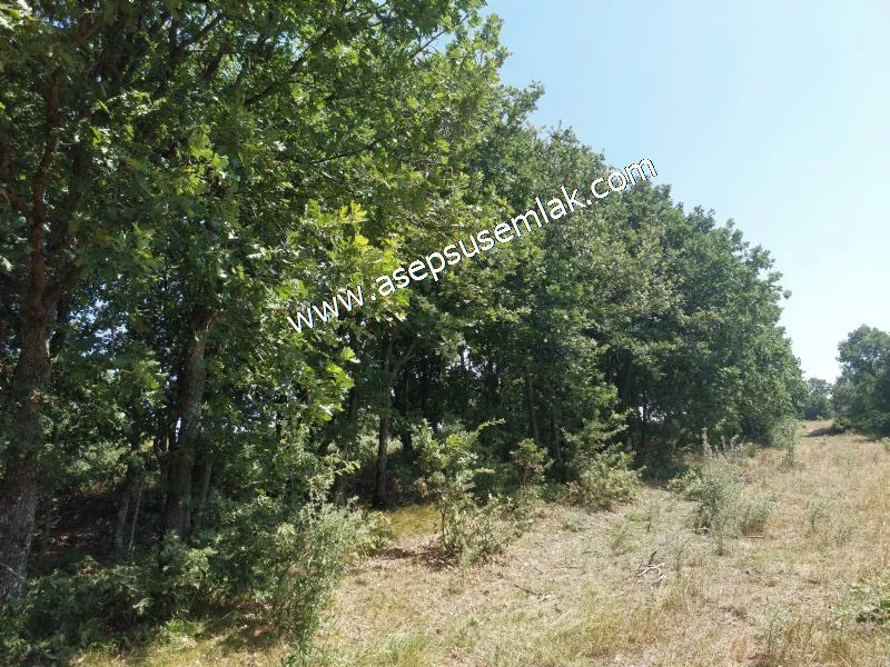 Yatırımlık 16 Dönüm Satılık Tarla
