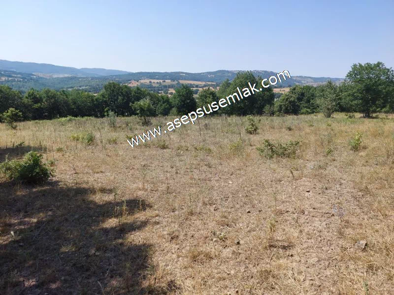 Yatırımlık 16 Dönüm Satılık Tarla