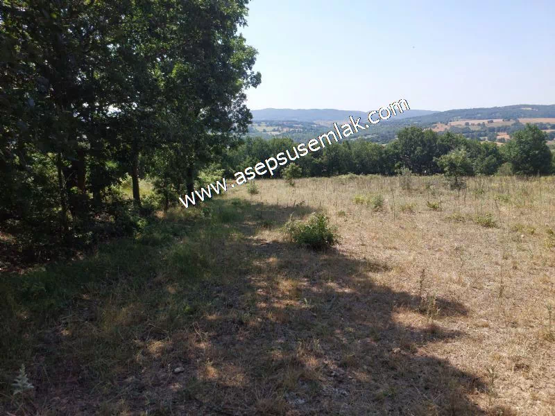 Yatırımlık 16 Dönüm Satılık Tarla