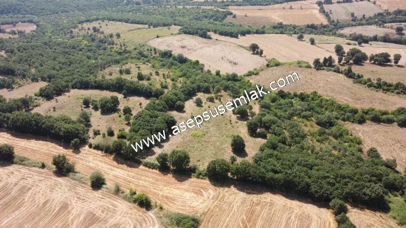 Yatırımlık 16 Dönüm Satılık Tarla