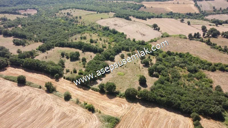 Yatırımlık 16 Dönüm Satılık Tarla