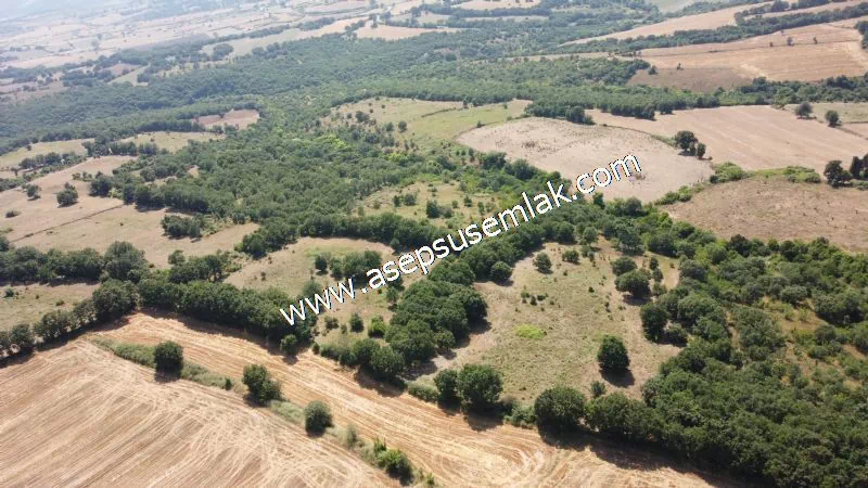 Yatırımlık 16 Dönüm Satılık Tarla