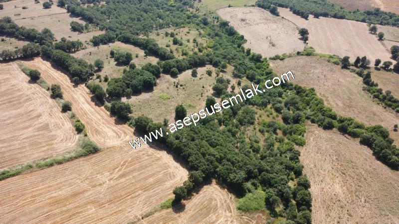 Yatırımlık 16 Dönüm Satılık Tarla