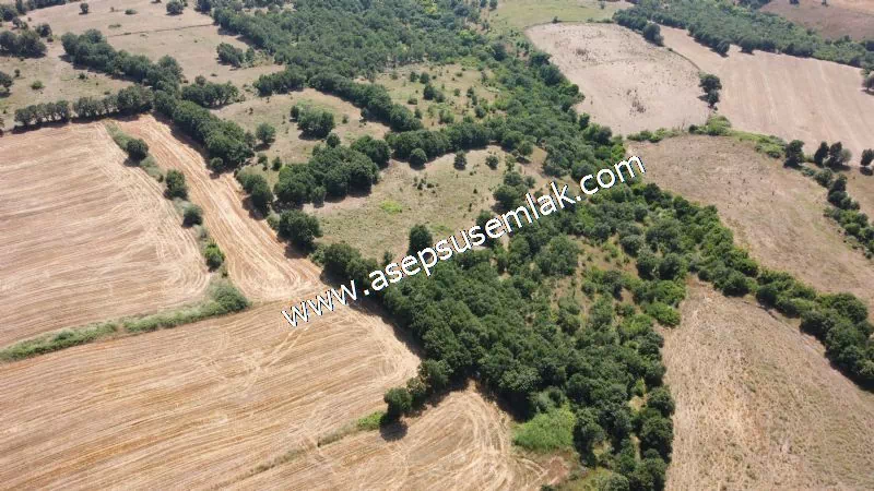 Yatırımlık 16 Dönüm Satılık Tarla