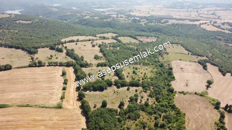 Yatırımlık 16 Dönüm Satılık Tarla