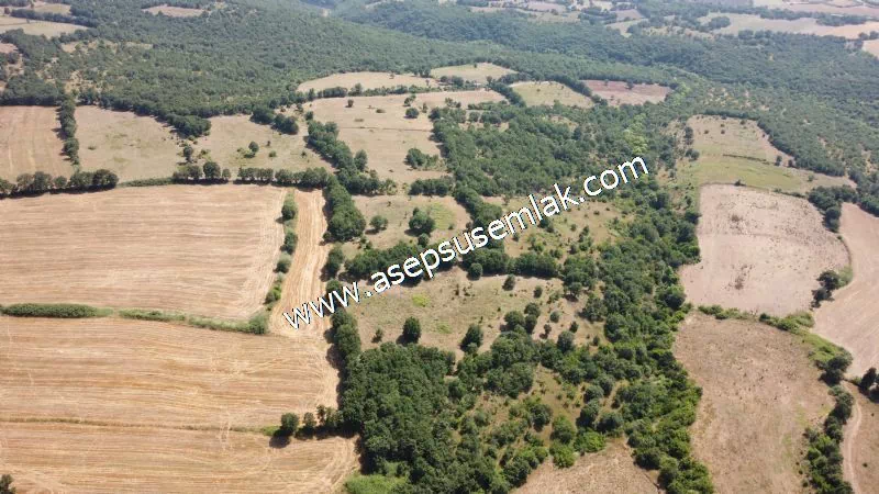 Yatırımlık 16 Dönüm Satılık Tarla