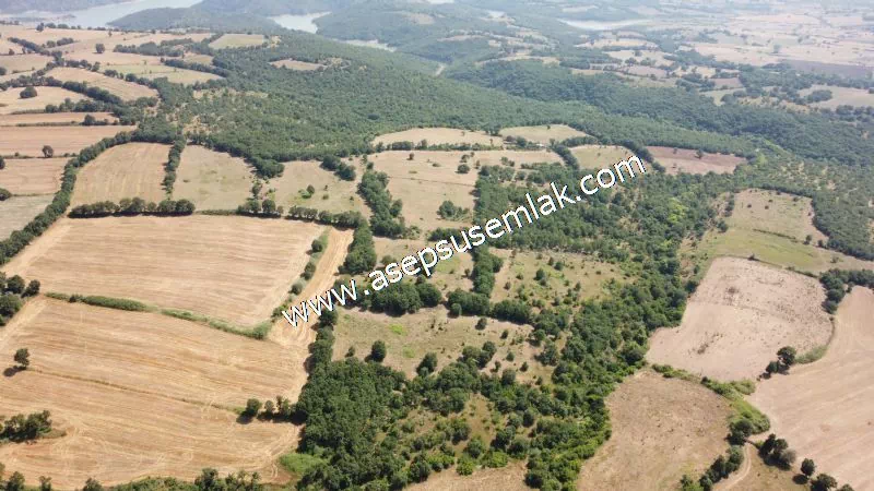 Yatırımlık 16 Dönüm Satılık Tarla