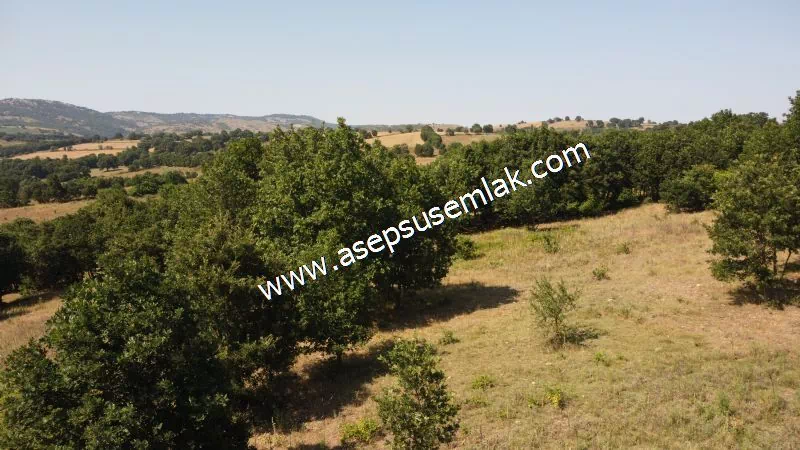 Yatırımlık 16 Dönüm Satılık Tarla