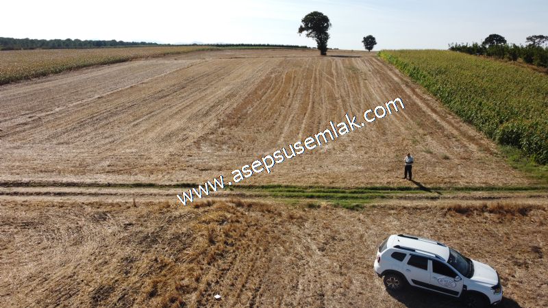 2.578 M2 Yatırımlık Tarla Meyve, Hobi Bahçesi