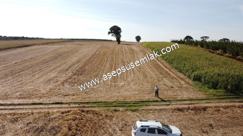 2.578 M2 Yatırımlık Tarla Meyve, Hobi Bahçesi