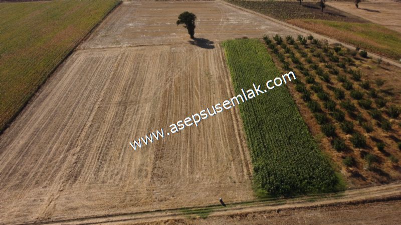 2.578 M2 Yatırımlık Tarla Meyve, Hobi Bahçesi
