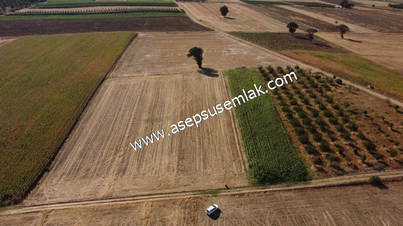 2.578 M2 Yatırımlık Tarla Meyve, Hobi Bahçesi