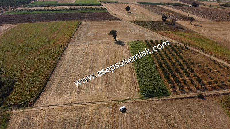 2.578 M2 Yatırımlık Tarla Meyve, Hobi Bahçesi
