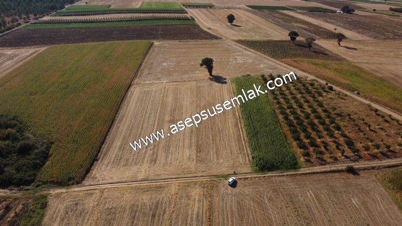 2.578 M2 Yatırımlık Tarla Meyve, Hobi Bahçesi