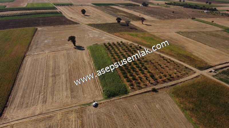 2.578 M2 Yatırımlık Tarla Meyve, Hobi Bahçesi
