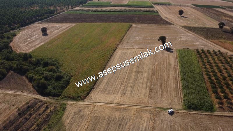 2.578 M2 Yatırımlık Tarla Meyve, Hobi Bahçesi