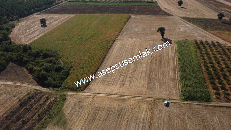 2.578 M2 Yatırımlık Tarla Meyve, Hobi Bahçesi