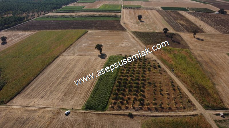 2.578 M2 Yatırımlık Tarla Meyve, Hobi Bahçesi