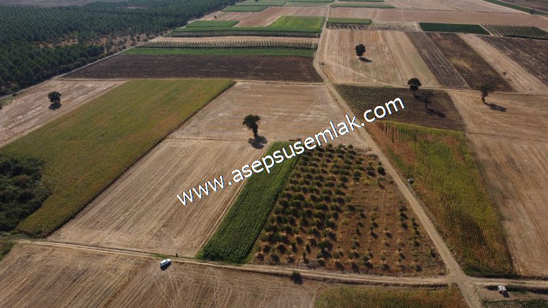 2.578 M2 Yatırımlık Tarla Meyve, Hobi Bahçesi