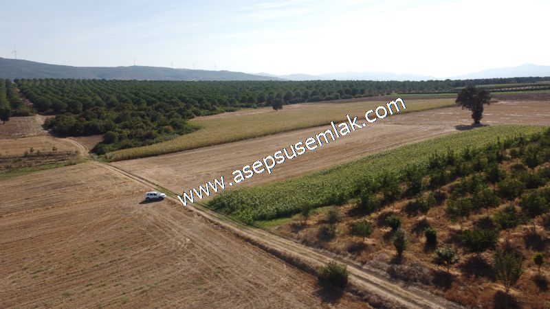 2.578 M2 Yatırımlık Tarla Meyve, Hobi Bahçesi