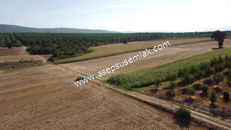 2.578 M2 Yatırımlık Tarla Meyve, Hobi Bahçesi