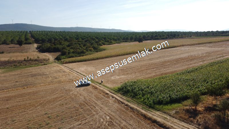 2.578 M2 Yatırımlık Tarla Meyve, Hobi Bahçesi