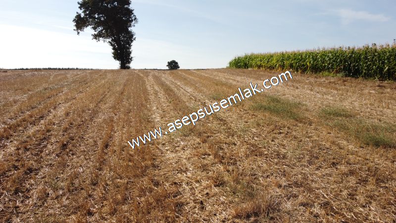 2.578 M2 Yatırımlık Tarla Meyve, Hobi Bahçesi