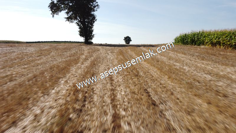 2.578 M2 Yatırımlık Tarla Meyve, Hobi Bahçesi