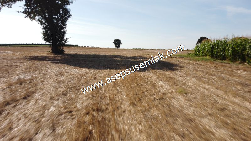2.578 M2 Yatırımlık Tarla Meyve, Hobi Bahçesi