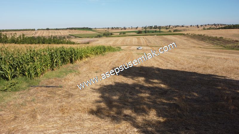 2.578 M2 Yatırımlık Tarla Meyve, Hobi Bahçesi