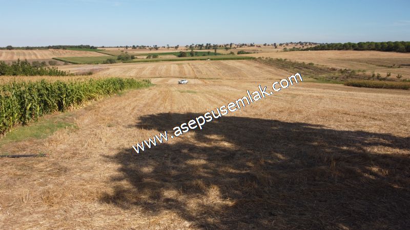 2.578 M2 Yatırımlık Tarla Meyve, Hobi Bahçesi