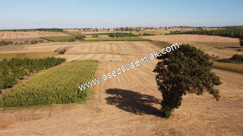 2.578 M2 Yatırımlık Tarla Meyve, Hobi Bahçesi