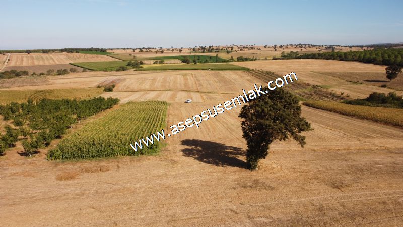 2.578 M2 Yatırımlık Tarla Meyve, Hobi Bahçesi