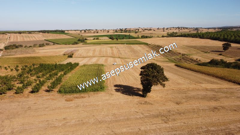 2.578 M2 Yatırımlık Tarla Meyve, Hobi Bahçesi