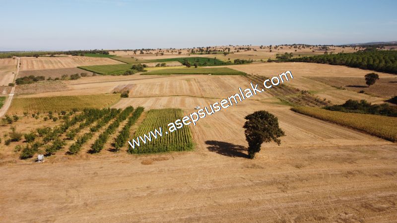 2.578 M2 Yatırımlık Tarla Meyve, Hobi Bahçesi