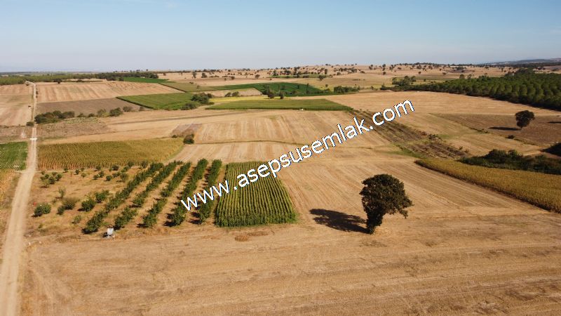 2.578 M2 Yatırımlık Tarla Meyve, Hobi Bahçesi