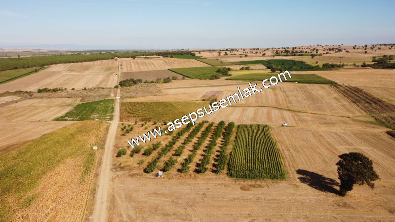 2.578 M2 Yatırımlık Tarla Meyve, Hobi Bahçesi