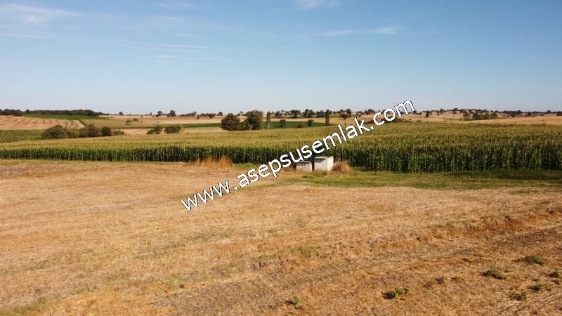 2.578 M2 Yatırımlık Tarla Meyve, Hobi Bahçesi