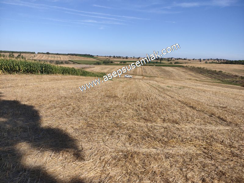 2.578 M2 Yatırımlık Tarla Meyve, Hobi Bahçesi