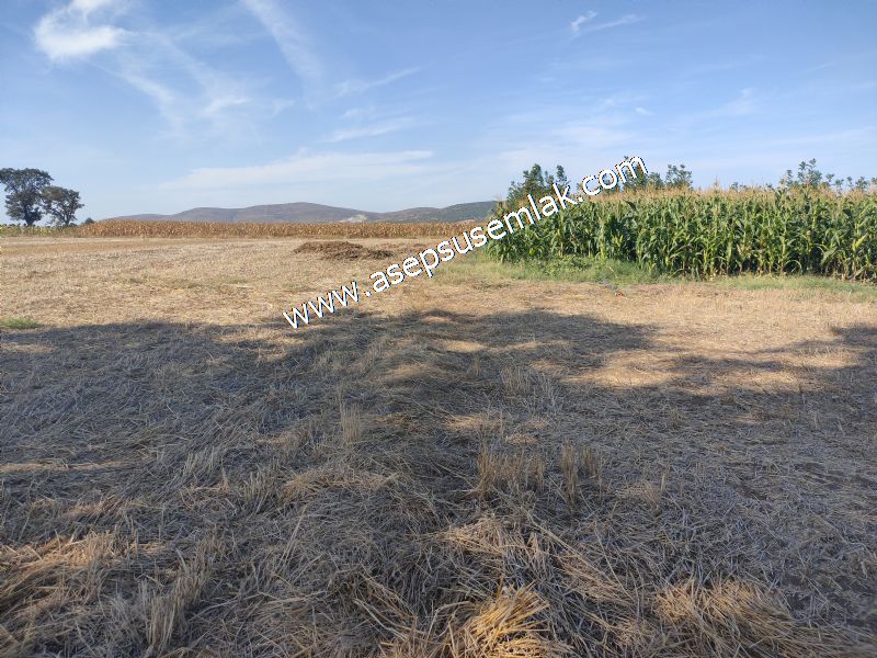 2.578 M2 Yatırımlık Tarla Meyve, Hobi Bahçesi