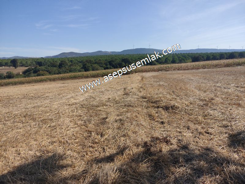 2.578 M2 Yatırımlık Tarla Meyve, Hobi Bahçesi