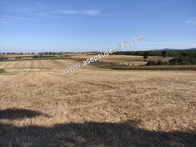 2.578 M2 Yatırımlık Tarla Meyve, Hobi Bahçesi