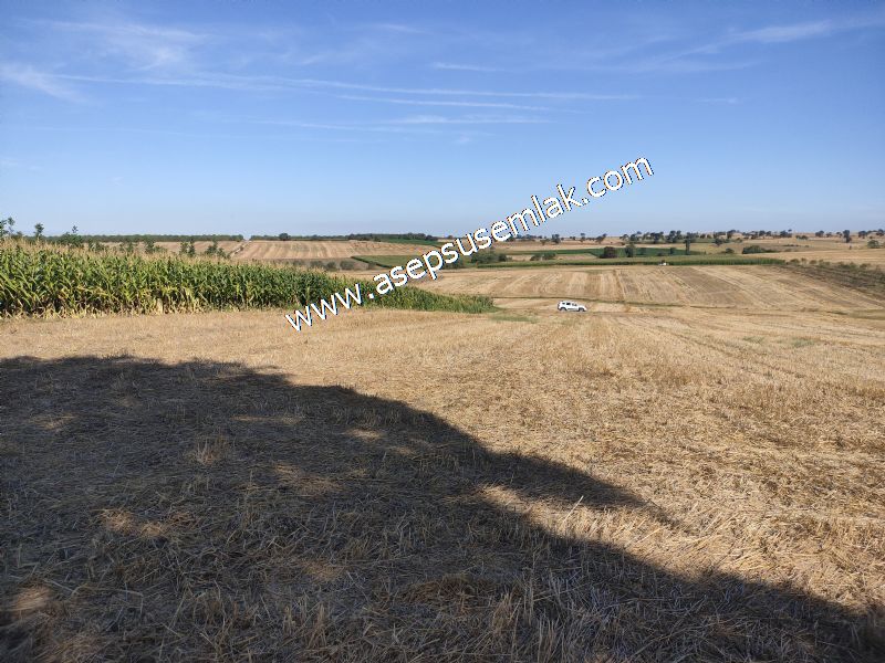 2.578 M2 Yatırımlık Tarla Meyve, Hobi Bahçesi