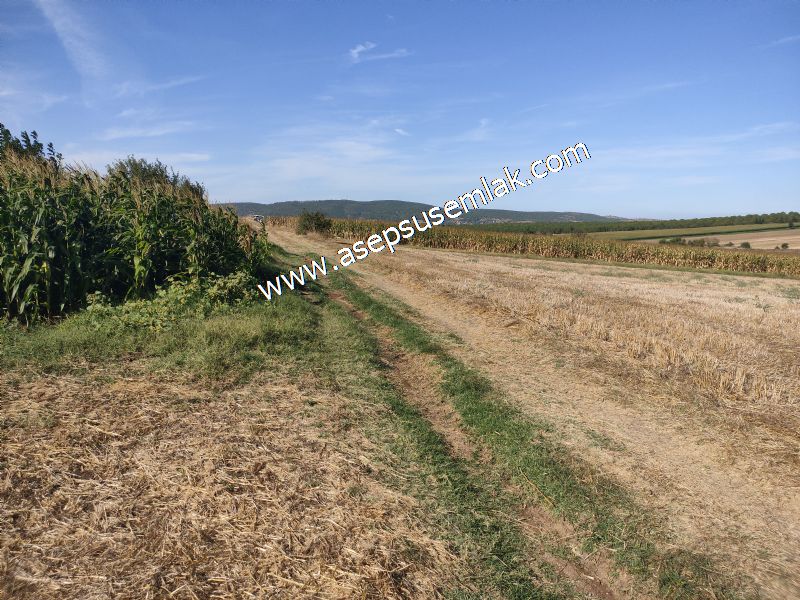 2.578 M2 Yatırımlık Tarla Meyve, Hobi Bahçesi